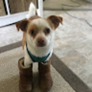 Meet your Posher, Anisa